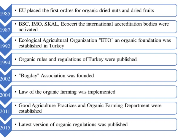 Figure 2.3 The Development of Turkish Organic Industry  Source: (Başaran et al., 2018:47)  