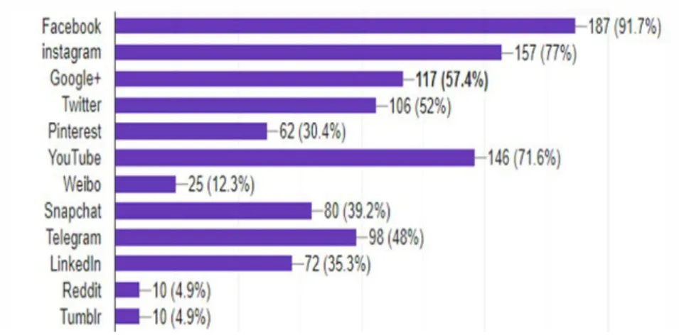 Figure 5.3: Social Media Usage Data 