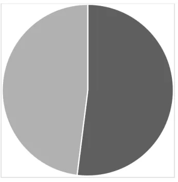 Figure 2.2: women as a household 0,6150,630,6450,660,6750,692007200920112013 2015 2017 2019-2020