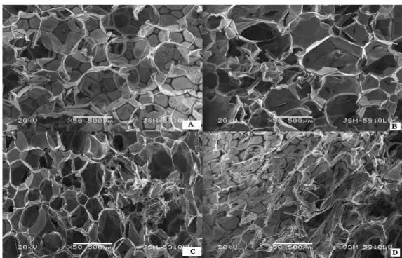Figure 5.  Cross-sectional SEM images of PU foam with cotton fiber additives (PUC). Magnification 50 x