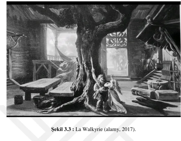 Şekil 3.3 : La Walkyrie (alamy, 2017). 
