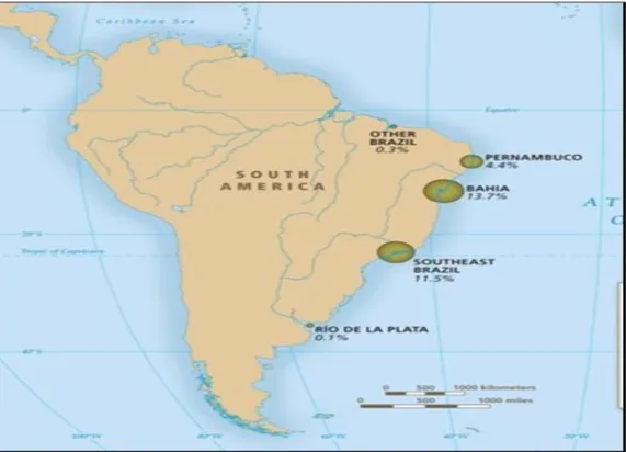 Şekil 5.1: Köle Ticareti Döneminde Brezilya’nın Ekonomisi Güçlü Sahil Bölgeleri 