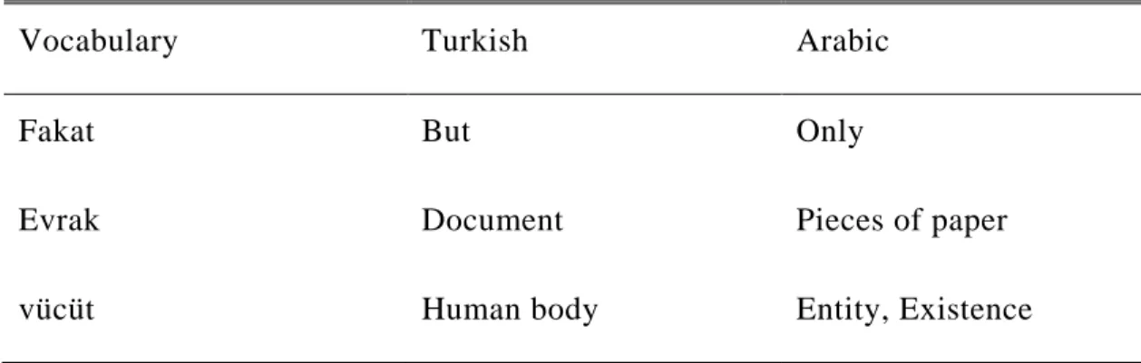 Table 4.7: Words of same pronunciation, but different meaning 