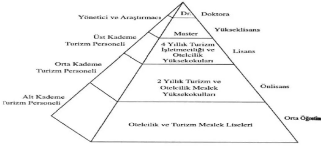 Şekil 2.1: Türkiye’de Turizm Eğitimi 