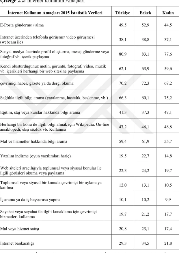Çizelge 2.2:  İnternet Kullanım Amaçları 