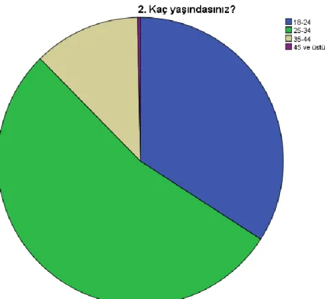 Şekil 5.3: Katılımcıların yaşa göre dağılımı 