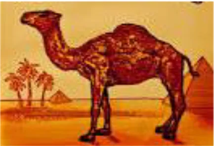 Şekil 2.4: Camel Sigarası Resim Markası  Kaynak: https://www.google.com.tr(E:03.08.2016) 