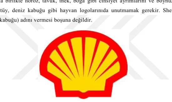 Şekil 2.6:  Shell (deniz kabuğu)  Kaynak: https://www.google.com.tr(E:26.03.2014) 