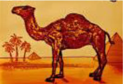 Şekil 2.4: Camel Sigarası Resim Markası  Kaynak: https://www.google.com.tr(E:03.08.2016) 