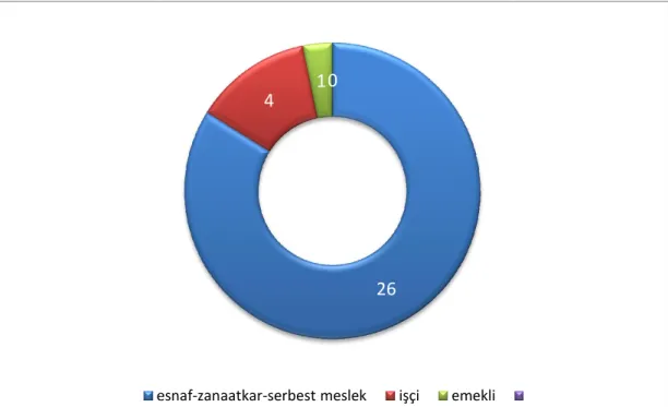 Şekil 8. Avcılar İlçesi Belediye Meclis 