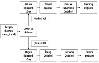 Şekil 2.5: Ayrıntılandırma Olasılığı Modeli- 