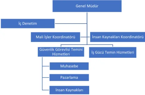 Şekil 2: Ürün temeline göre bölümlere ayırma. 