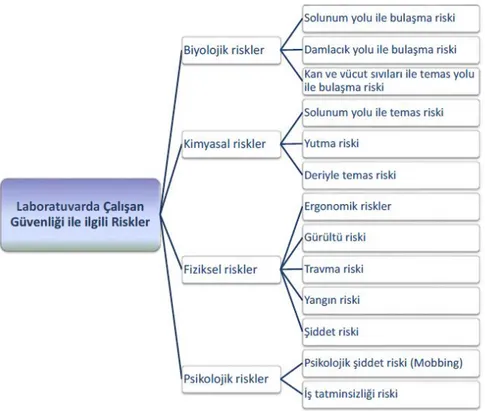 Şekil 2.6: Tıbbi Laboratuvar Riskleri 