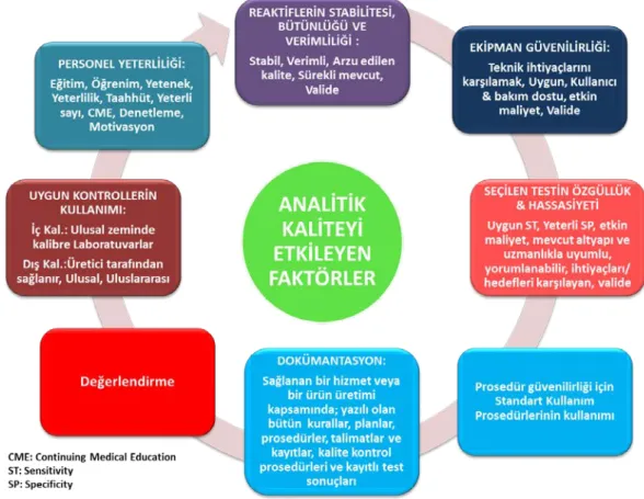 Şekil 2.7: Laboratuvarlarda Kalite Yönetimi 