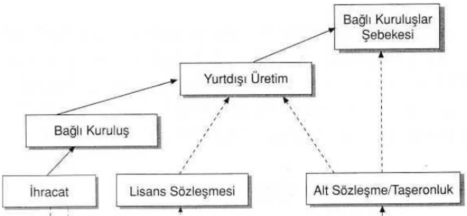 Şekil 2.3: Uluslararasılaşma Evreleri   