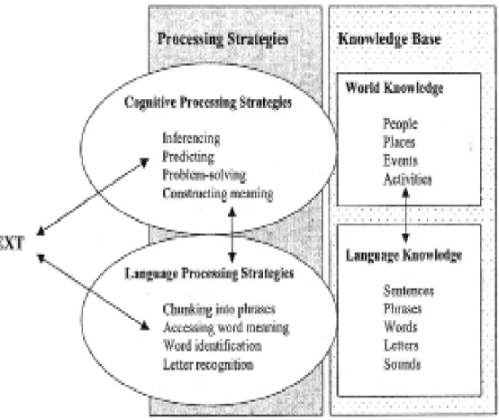 Figure 2.1: A hypothetical model of reading with some sample processing strategies  and types of knowledge (Birch, 2009, p.3) 