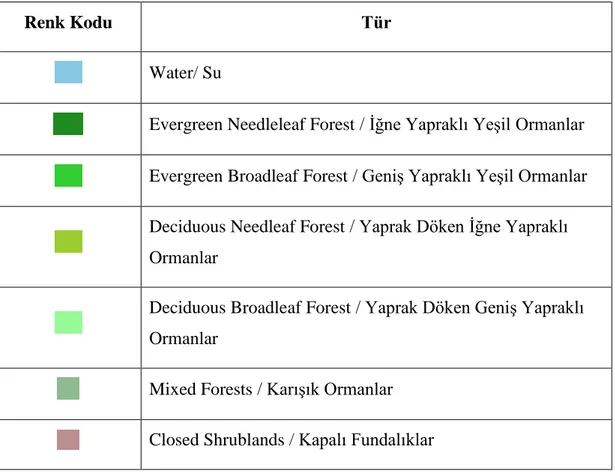 Çizelge 3.2 MODIS Haritası 