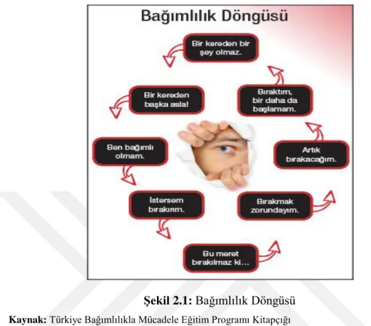 Şekil 2.1: Bağımlılık Döngüsü  