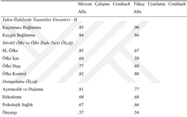 Çizelge 4.6: Güvenirlik Analizleri 