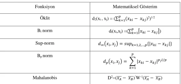 Çizelge 2.1: Uzaklık Fonksiyonları ve Matematiksel Gösterimleri 