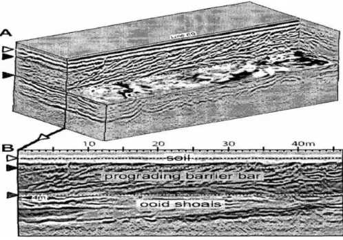 Figure 1.4: A: Chair display of the Miami Oolite 3D GPR survey [12]. 