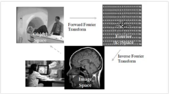 Figure 1.5: the MR imaging process.  Source: Url-6 