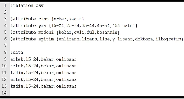 Şekil 5. ARFF Dosya Yapısı 
