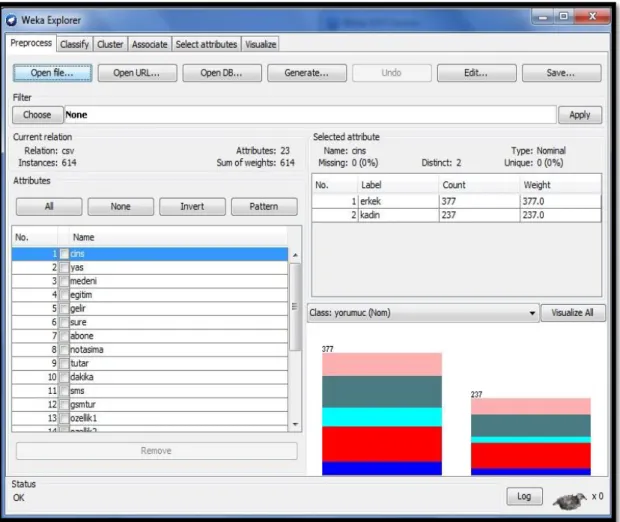 Şekil 11. WEKA Explorer Modülü Preprocess Sekmesi 