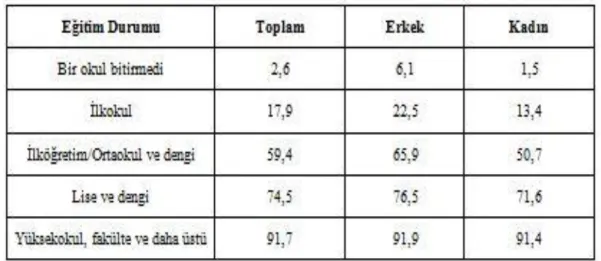 Çizelge 2. 6 : Hane Halkı Bilişim Teknolojileri Kullanım Araştırması Eğitim  Durumu 