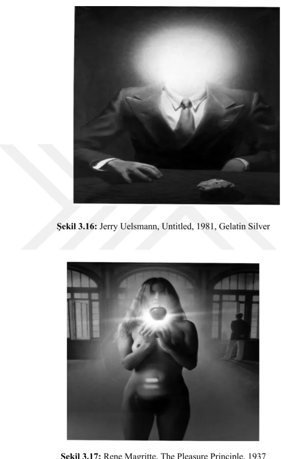 Şekil 3.16: Jerry Uelsmann, Untitled, 1981, Gelatin Silver  