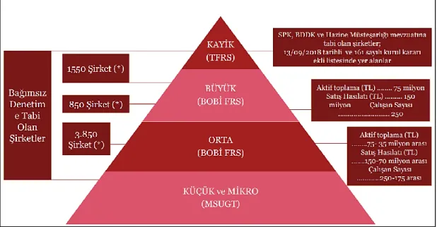 Şekil 2.6 : BOBĠ FRS Uygulayacak ġirketler  Kaynak: PWC Türkiye, 2018 