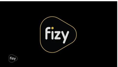 Şekil 3: Fizy Logo  Kaynak:  http://www.fizy.com/