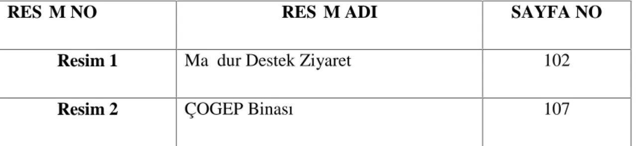 Şekil 2 Türkiye’de Yönetim İlkeleri 12