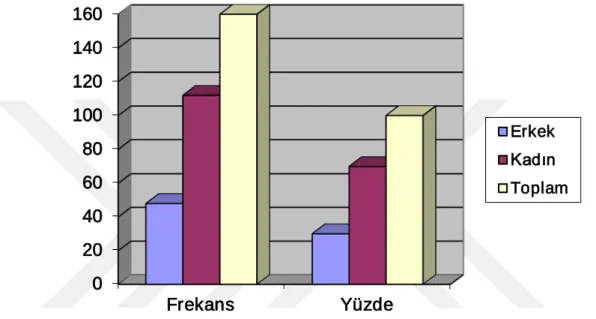 Şekil 4.1: Cinsiyete İlişkin Yüzde Dağılım Grafiği 
