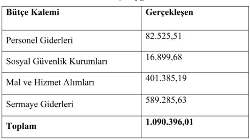 Tablo 8 :Mali Bütçe Uygulama Tablosu 