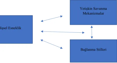 Şekil 3.1: Hipotezler Bilişsel Esneklik 