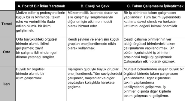 Tablo 2.3 Yetkinlik Düzeyleri 