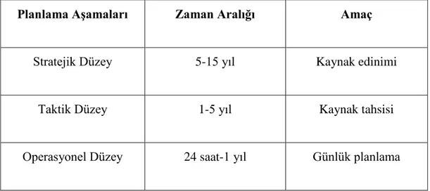 Çizelge 2.1 : Planlama Düzeyleri. (Anderson, 2002: 2) 