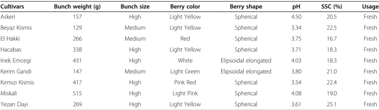 Table 5 Basic morphological characteristics of studied cultivars