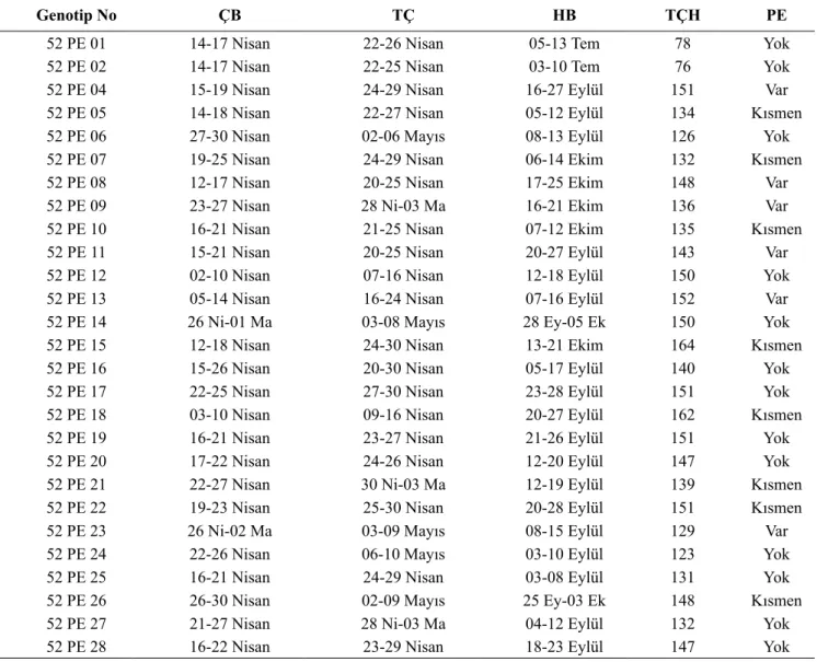 Çizelge 2. İncelenen elma genotiplerinin bazı ağaç özellikleri          