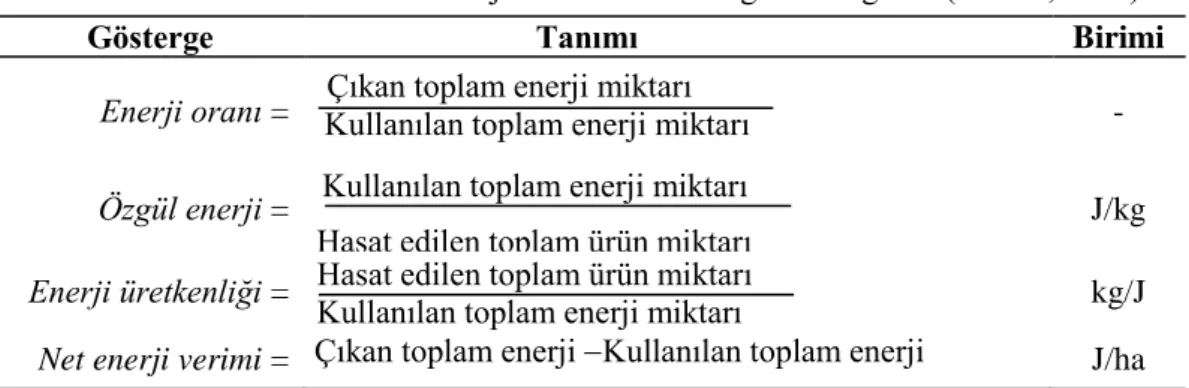 Tablo 3. Tarımsal Üretimde  Enerji Kullanım Etkinliği Göstergeleri (Öztürk, 2010) 