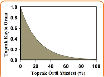 Şekil 5. Toprak kaybı oranı  6. ALINACAK ÖNLEMLER 