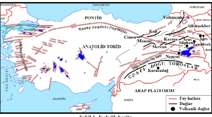Şekil 1. Jeolojik harita 