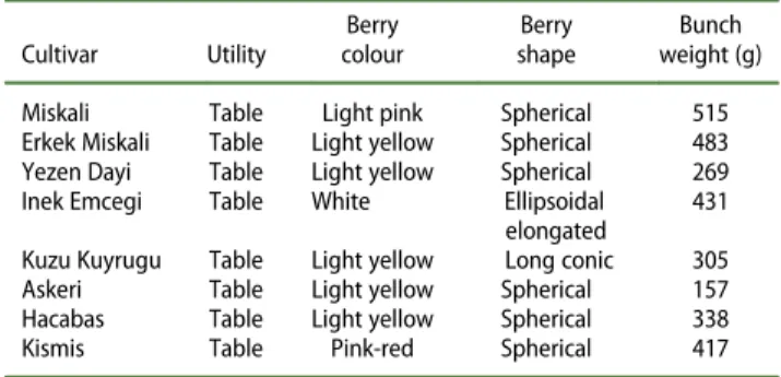Table 1 presents some considerable ampelographic traits of the autochthonous grapevine cultivars evaluated genetically in the present study.
