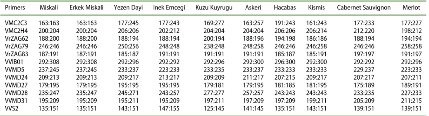 Table 3. Allele sizes (bp) of 12 microsatellites loci from 10 grapevine cultivars.