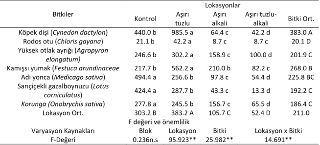 Çizelge  3.  Farklı  lokasyon  ve  yem  bitkilerinden  elde  edilen  m 2 ’deki  bitki  sayıları  (adet/m 2 )  ve  varyans 