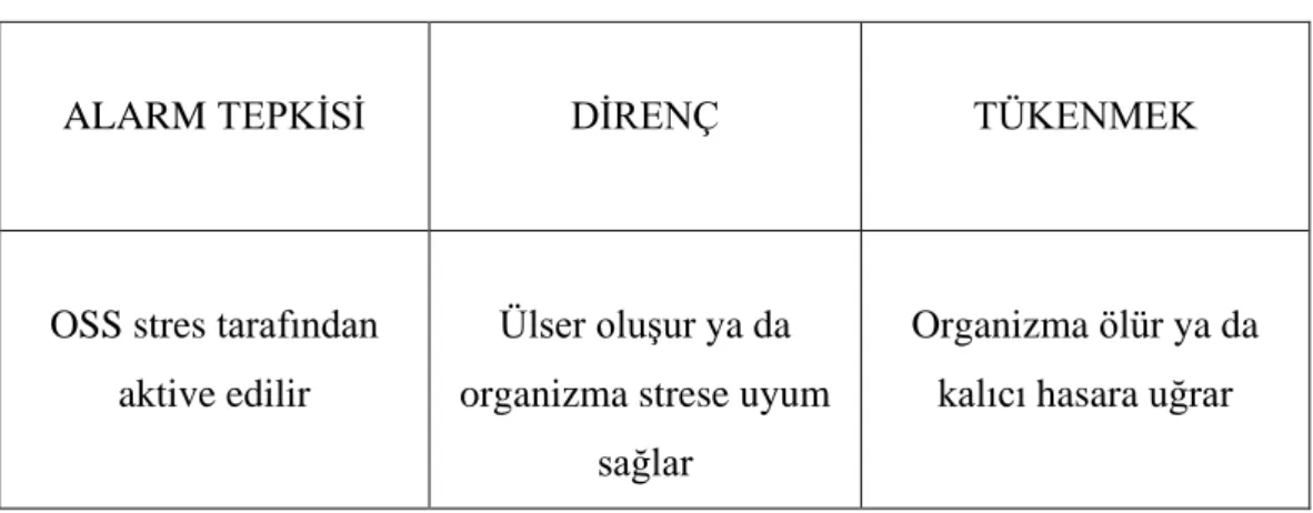 Şekil 2.1 Selye’nin Genel Adaptasyon Sendromu 