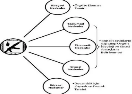 Şekil 2: Terörizmin Nedenlerinin Terör Örgütlerinin Doğuşundaki Etkileri 