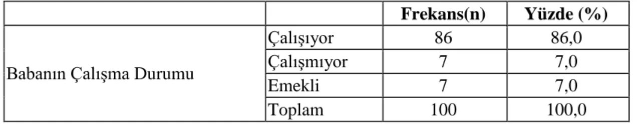 Tablo 4.5.    Babanın Çalışma Durumu Değişkeni İçin Frekans ve Yüzde Değerleri 