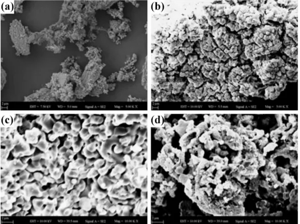 Fig. 5. SEM images of TT1200 produced from sea shell Turritella terebra before and after soaking in SBF (a) sea shell (b) after sintering at 1200 ◦ C (c) after 1st week in SBF (d) after 2nd week in SBF (5000×).